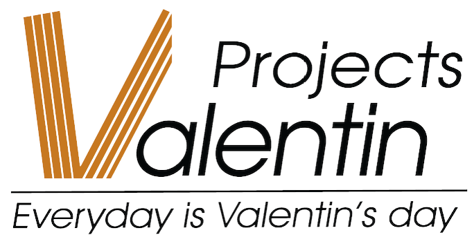 Logo valentin projects